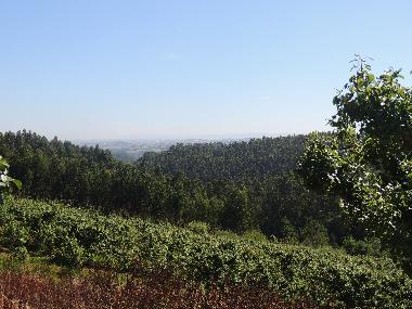 surroundings