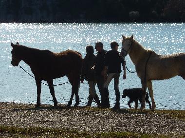Chalet in AUPS (Var) or holiday homes and vacation rentals