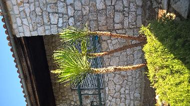 Holiday House in Crikvenica (Primorsko-Goranska) or holiday homes and vacation rentals