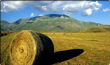 Holiday Apartment in Norcia (Perugia) or holiday homes and vacation rentals