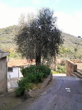 around the Holiday apartment