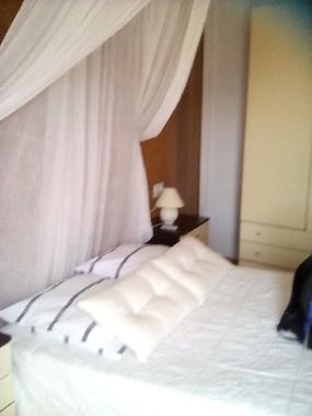 Holiday House in crevillent (Murcia) or holiday homes and vacation rentals