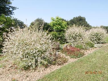 Holiday House in pouligny notre dame (Centre) or holiday homes and vacation rentals