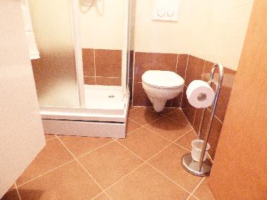 Holiday House in Baska voda (Splitsko-Dalmatinska) or holiday homes and vacation rentals