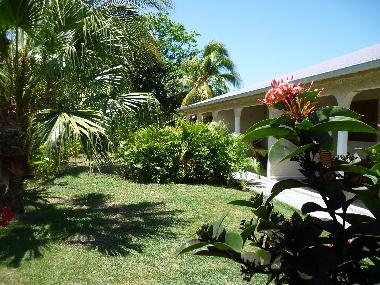 Holiday Apartment in sainte anne (Guadeloupe) or holiday homes and vacation rentals