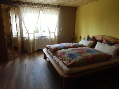 Holiday Apartment in Oberleichtersbach / Mitgenfeld (Lower Franconia) or holiday homes and vacation rentals