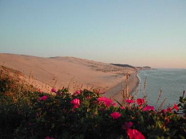 Holiday House in ARCACHON (Gironde) or holiday homes and vacation rentals