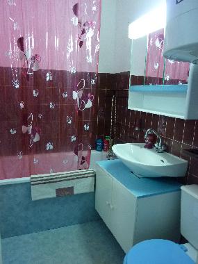 Holiday House in ARCACHON (Gironde) or holiday homes and vacation rentals