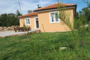 Holiday House in Malinska (Primorsko-Goranska) or holiday homes and vacation rentals