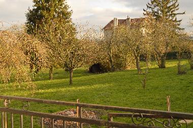 Holiday Apartment in PONT A MOUSSON (Meurthe-et-Moselle) or holiday homes and vacation rentals