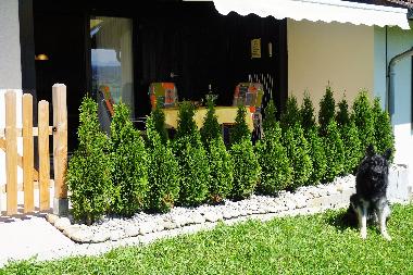 Holiday House in Lechbruck am See (Bavarian Swabia) or holiday homes and vacation rentals