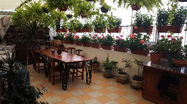 Holiday Apartment in Roma Norte (Distrito Federal) or holiday homes and vacation rentals
