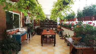 Holiday Apartment in Roma Norte (Distrito Federal) or holiday homes and vacation rentals