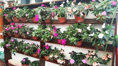 Holiday Apartment in Roma Norte (Distrito Federal) or holiday homes and vacation rentals