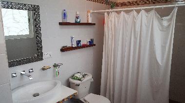 Holiday Apartment in Roma Norte (Distrito Federal) or holiday homes and vacation rentals