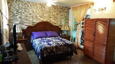 Holiday Apartment in Roma Norte (Distrito Federal) or holiday homes and vacation rentals
