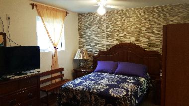 Holiday Apartment in Roma Norte (Distrito Federal) or holiday homes and vacation rentals