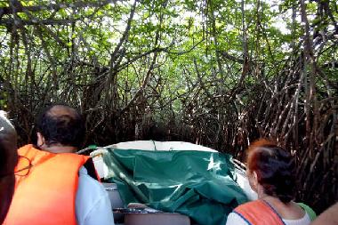 Holiday House in Panadura (Colombo) or holiday homes and vacation rentals