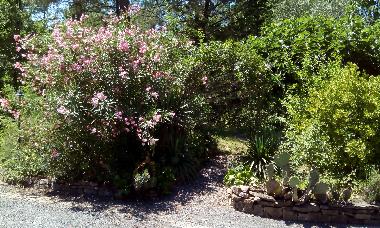 Villa in Moli�res sur C�ze (Gard) or holiday homes and vacation rentals