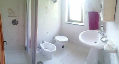 bathroom with shower and phon