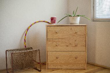 Holiday Apartment in Timisoara (Timis) or holiday homes and vacation rentals