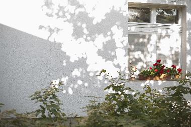 Holiday Apartment in Timisoara (Timis) or holiday homes and vacation rentals