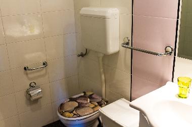 Villa in Novigrad (Istarska) or holiday homes and vacation rentals