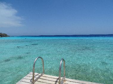 Villa in Willemstad (Curacao) or holiday homes and vacation rentals