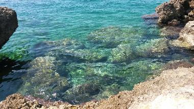 Holiday Apartment in Alezio (Lecce) or holiday homes and vacation rentals