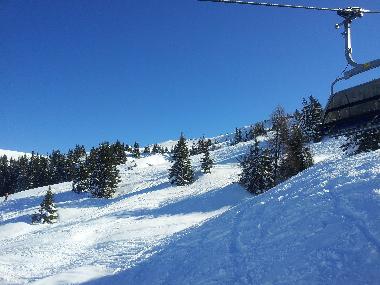 winter paradise - skiing - snowboarding in Kitzbuehel 