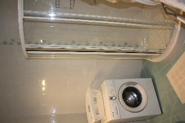 main bathroom with shower and private washing machine