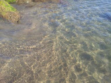 Holiday Apartment in CASTIGLIONE DELLA PESCAIA (Grosseto) or holiday homes and vacation rentals