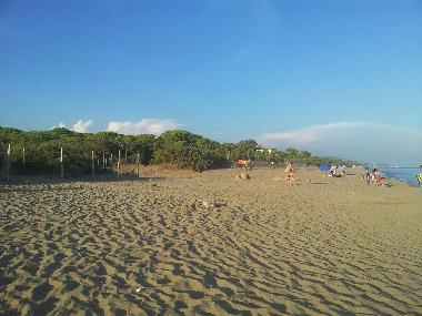 Holiday Apartment in CASTIGLIONE DELLA PESCAIA (Grosseto) or holiday homes and vacation rentals