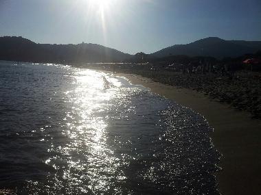 Holiday Apartment in CASTIGLIONE DELLA PESCAIA (Grosseto) or holiday homes and vacation rentals