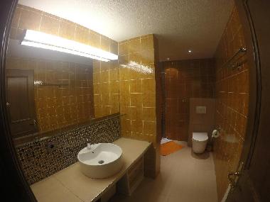 Holiday Apartment in Mhlbach (Pinzgau-Pongau) or holiday homes and vacation rentals