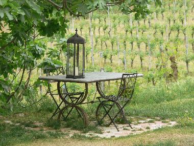 Holiday House in Vaglio Serra (Asti) or holiday homes and vacation rentals