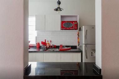 Holiday Apartment in Mexico City (Distrito Federal) or holiday homes and vacation rentals