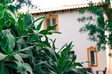 Holiday House in Quelfes (Algarve) or holiday homes and vacation rentals
