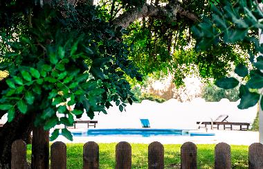 Holiday House in Quelfes (Algarve) or holiday homes and vacation rentals