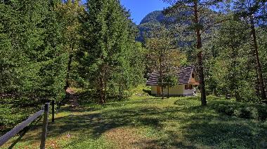 Holiday House in Soca (Bovec) or holiday homes and vacation rentals