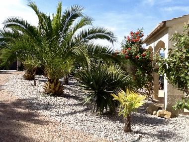 Villa in PIETROSELLA (Corse-du-Sud) or holiday homes and vacation rentals