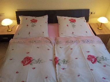 Holiday Apartment in N�dlingen bei Bad Kissingen (Lower Franconia) or holiday homes and vacation rentals