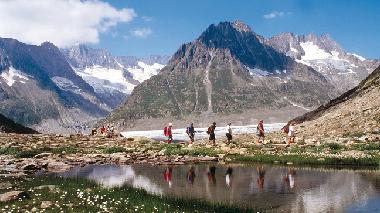 Chalet in Fiesch (Aletsch) or holiday homes and vacation rentals