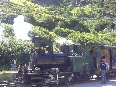 Chalet in Fiesch (Aletsch) or holiday homes and vacation rentals