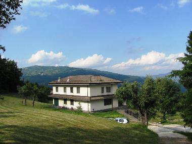 View from the woods