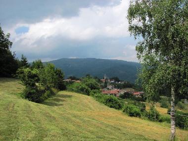 Villa in Casaldonato (Piacenza) or holiday homes and vacation rentals