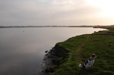 Holiday House in Lyngs (Nordjylland) or holiday homes and vacation rentals