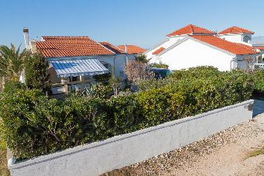 Holiday House in Vir (Zadarska) or holiday homes and vacation rentals