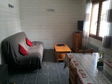 Holiday Apartment in SEYNE LES ALPES (Alpes-de-Haute-Provence) or holiday homes and vacation rentals