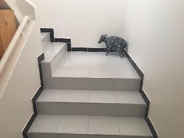 Villa in Agadir (Agadir) or holiday homes and vacation rentals